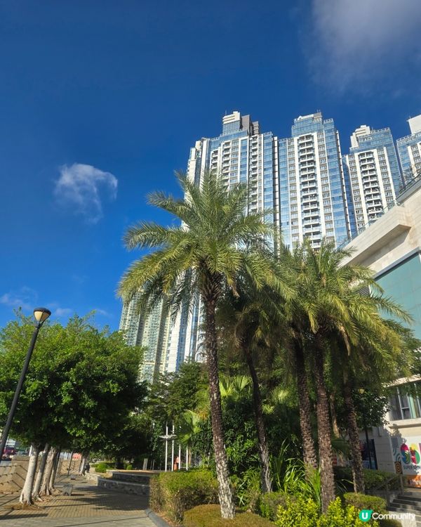 慢跑賞美景