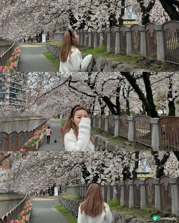 福岡慢活遊🌸必去精選行程