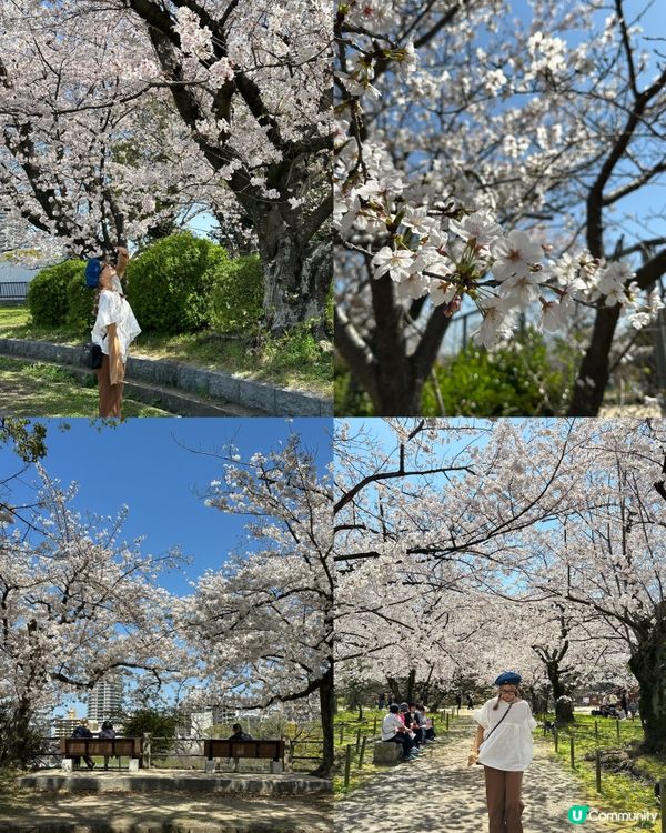 福岡慢活遊🌸必去精選行程
