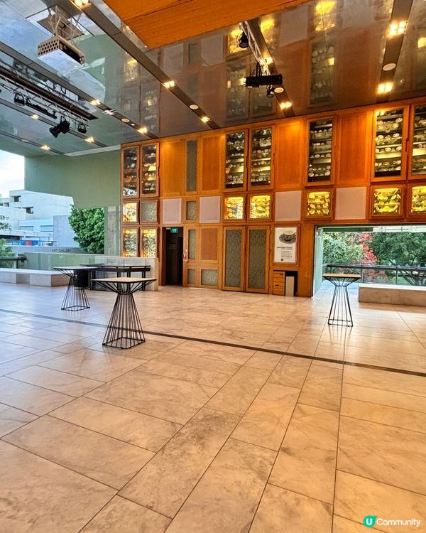 澳洲/📸 布里斯班昆士蘭州立圖書館📚文青一族必去!!!