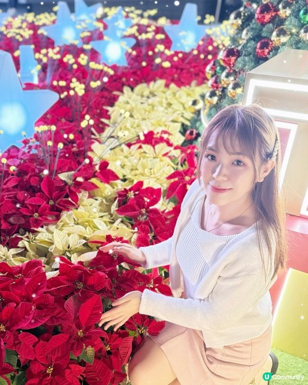 🌺全城至紅聖誕花海❤️!新都會廣場｢星耀綻紅聖誕｣🎄