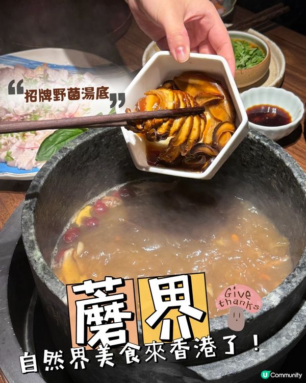 【🍄自然界美食天花板.必食蘑界來香港了!】