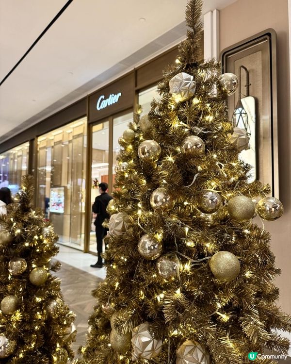 西九好靚但好多人... 所以我去咗呢度睇聖誕樹打卡📸