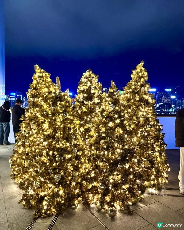 西九好靚但好多人... 所以我去咗呢度睇聖誕樹打卡📸