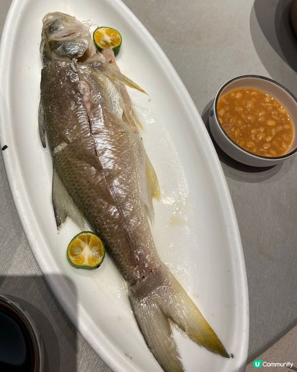 潮州菜館慶生🎉環境一流,菜式正宗!