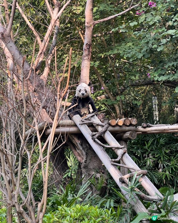 北上度假 深圳野生動物園