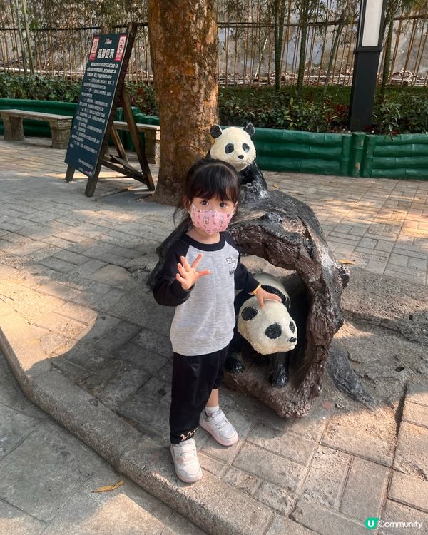 北上度假 深圳野生動物園