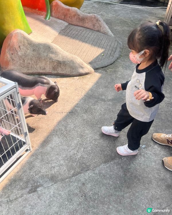 北上度假 深圳野生動物園