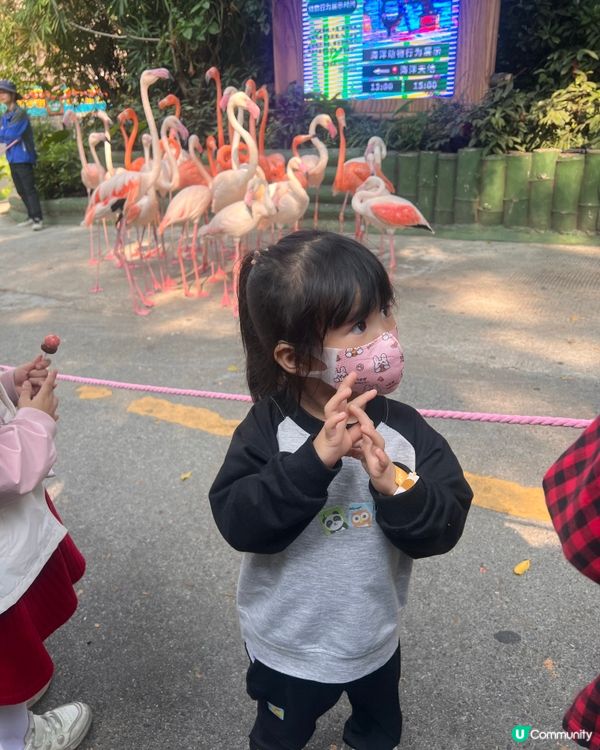 北上度假 深圳野生動物園