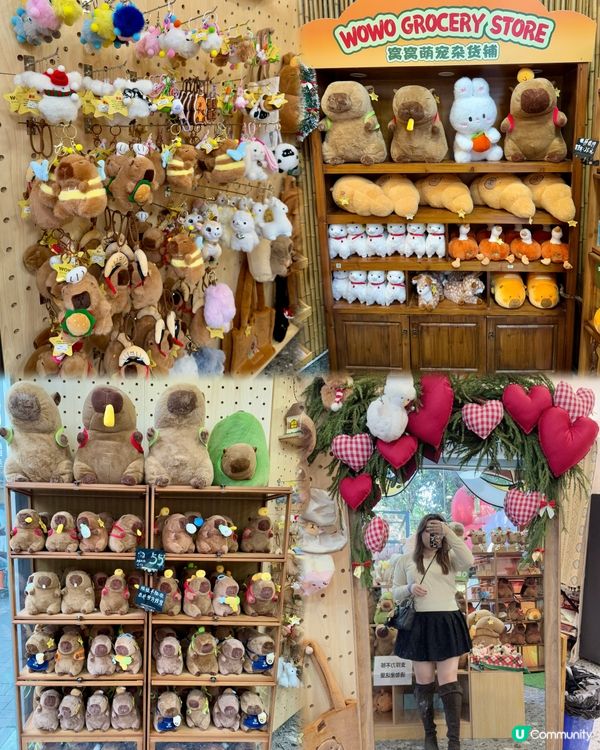 聖誕去深圳親親大自然！