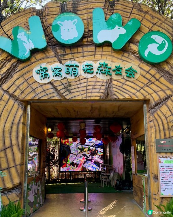 聖誕去深圳親親大自然！