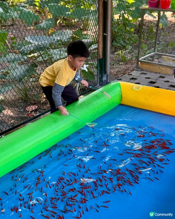 聖誕去深圳親親大自然！