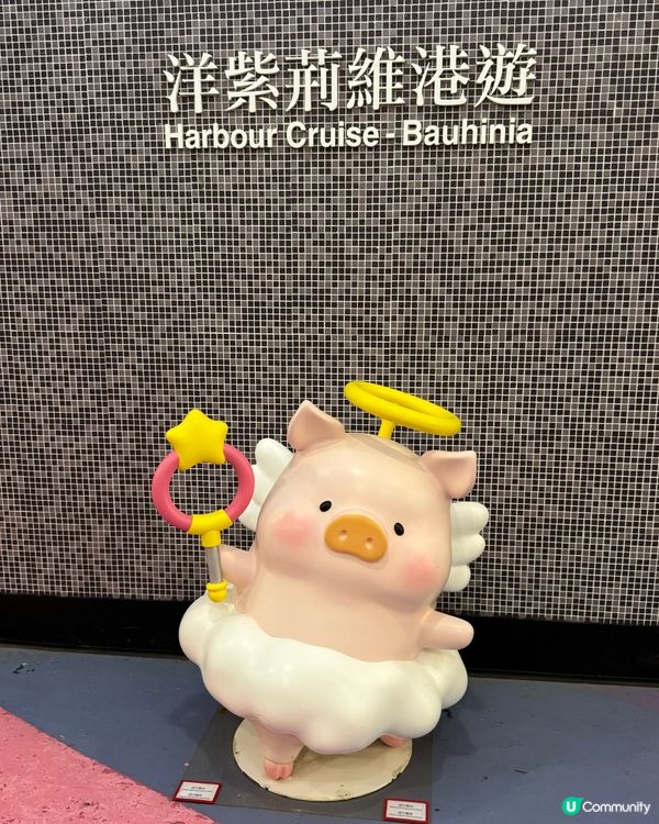 🎅聖誕郵輪食buffet睇夜景🛳️同lulu豬🐽打卡📷