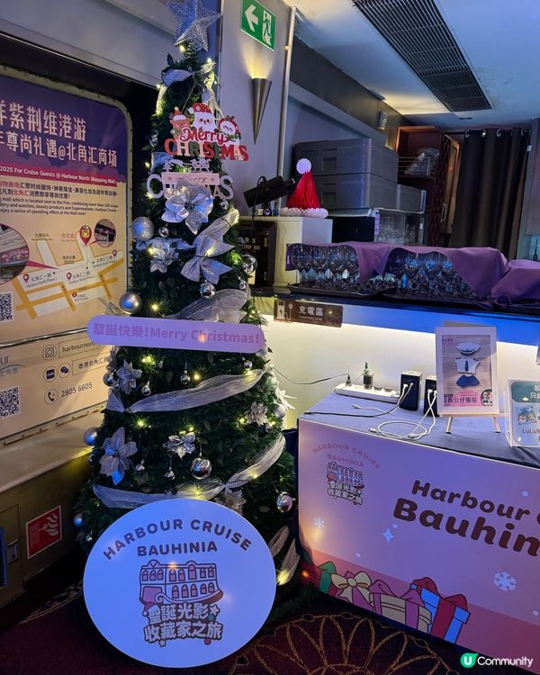 🎅聖誕郵輪食buffet睇夜景🛳️同lulu豬🐽打卡📷