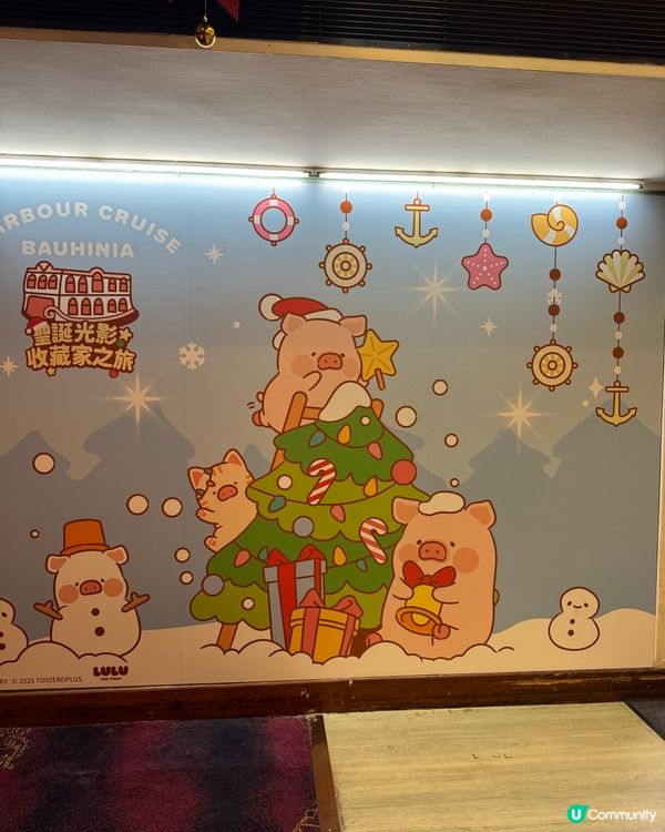 🎅聖誕郵輪食buffet睇夜景🛳️同lulu豬🐽打卡📷