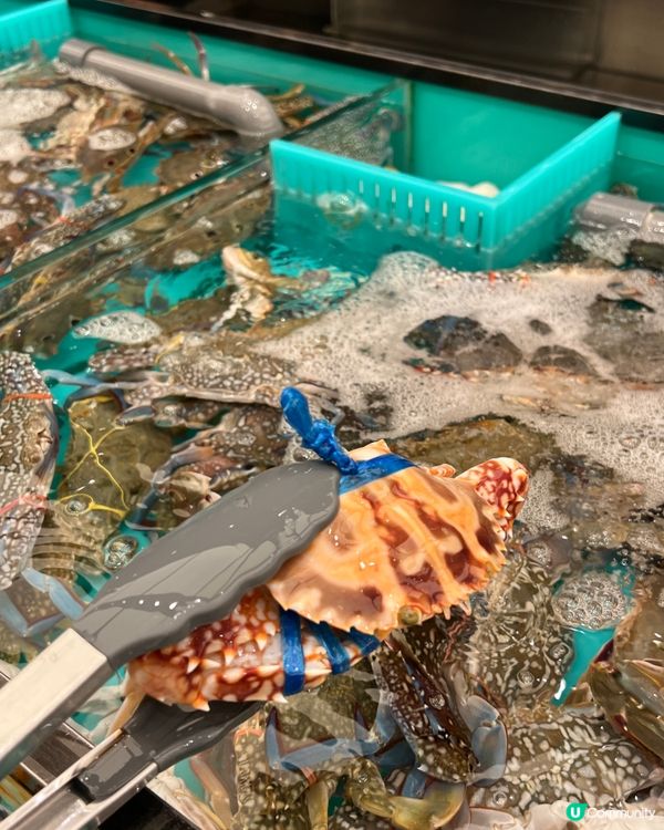 🐟即撈即食生猛海鮮火鍋放題🦀千海水產🐟