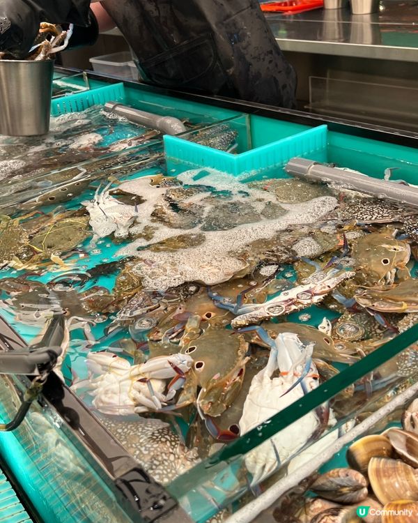 🐟即撈即食生猛海鮮火鍋放題🦀千海水產🐟