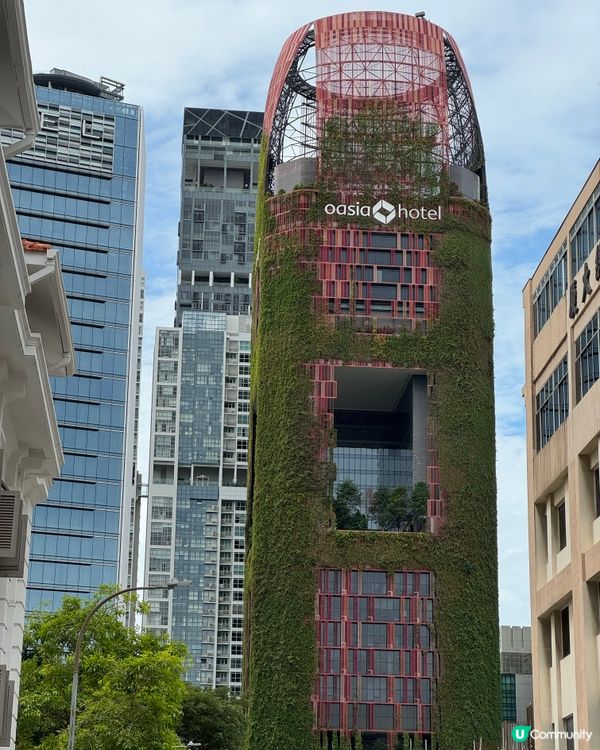 新加坡快閃遊Day 2！牛車水+濱海灣花園🤩