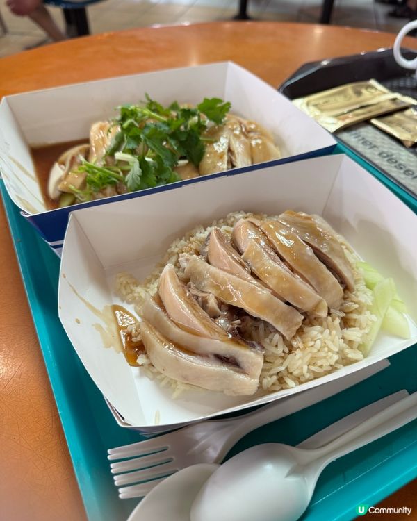 新加坡快閃遊Day 2！牛車水+濱海灣花園🤩