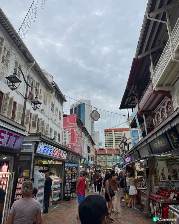 新加坡快閃遊Day 2！牛車水+濱海灣花園🤩