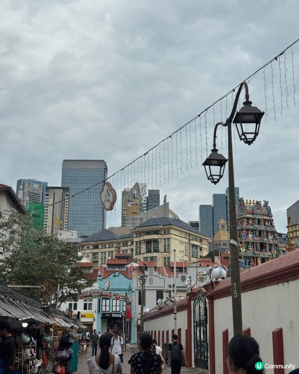 新加坡快閃遊Day 2！牛車水+濱海灣花園🤩