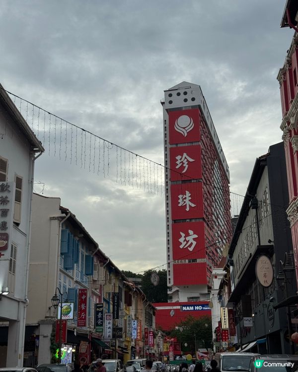 新加坡快閃遊Day 2！牛車水+濱海灣花園🤩