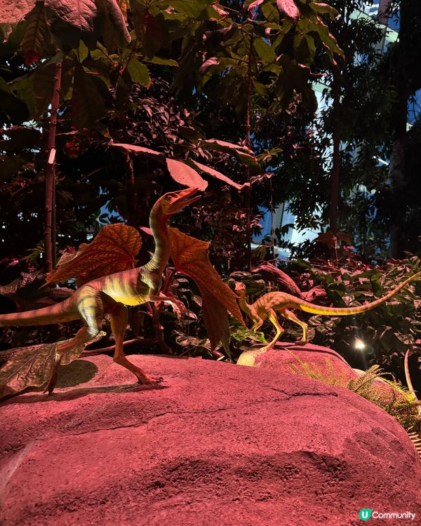 新加坡快閃遊Day 2！牛車水+濱海灣花園🤩