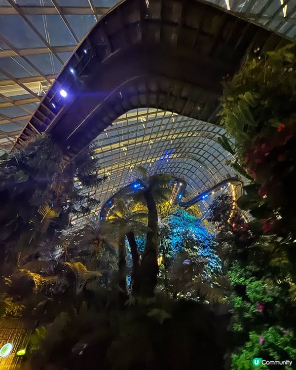 新加坡快閃遊Day 2！牛車水+濱海灣花園🤩