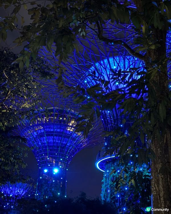 新加坡快閃遊Day 2！牛車水+濱海灣花園🤩