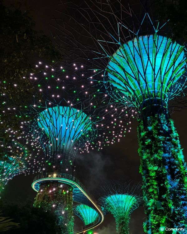 新加坡快閃遊Day 2！牛車水+濱海灣花園🤩