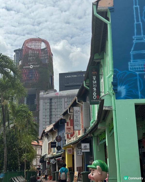 新加坡快閃3日2夜！最後一日🤩 奶油蟹超正！瀑布打卡📸