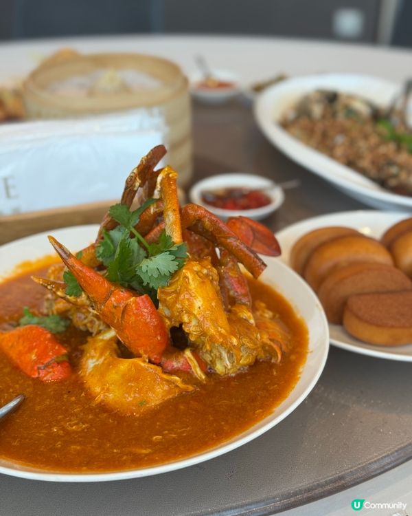 新加坡快閃3日2夜！最後一日🤩 奶油蟹超正！瀑布打卡📸