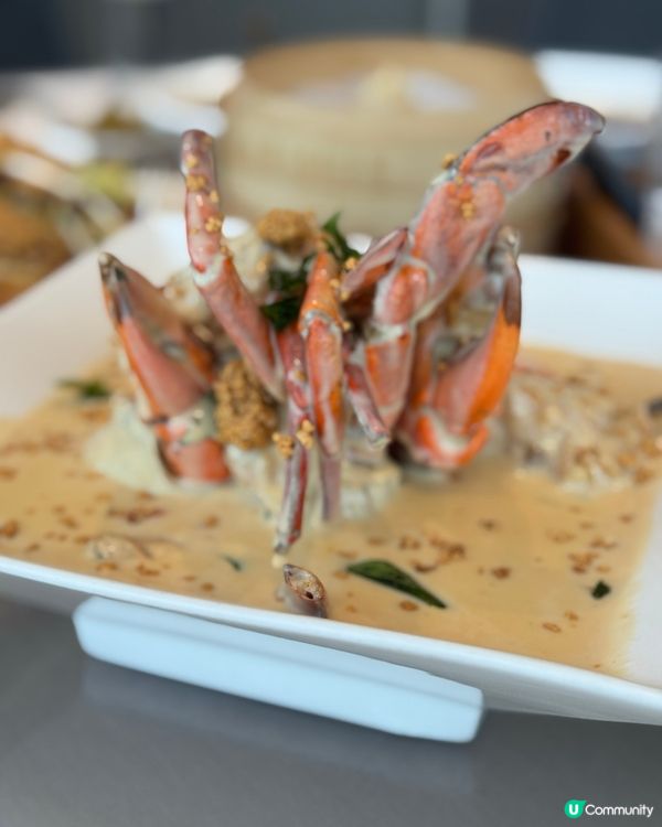 新加坡快閃3日2夜！最後一日🤩 奶油蟹超正！瀑布打卡📸