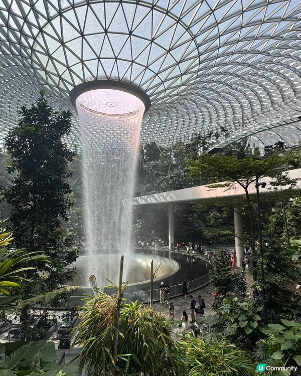 新加坡快閃3日2夜！最後一日🤩 奶油蟹超正！瀑布打卡📸