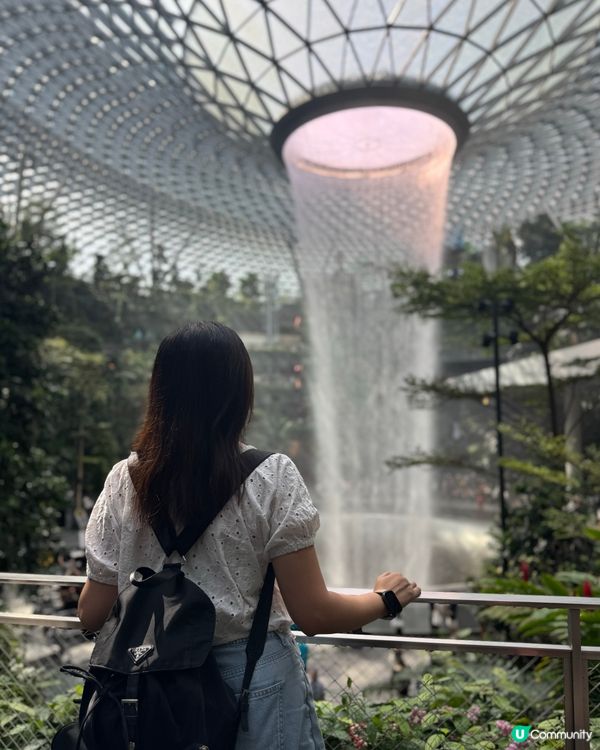 新加坡快閃3日2夜！最後一日🤩 奶油蟹超正！瀑布打卡📸