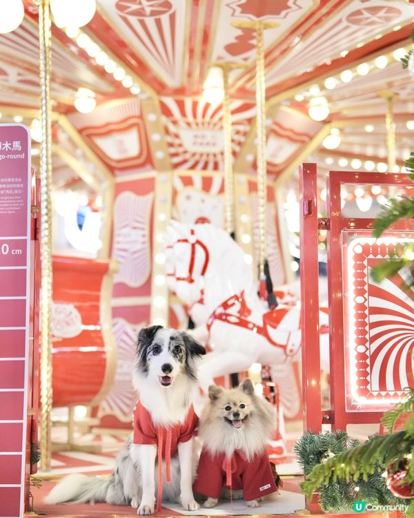 西沙冬日樂園🎄！毛孩聖誕必去！🎠