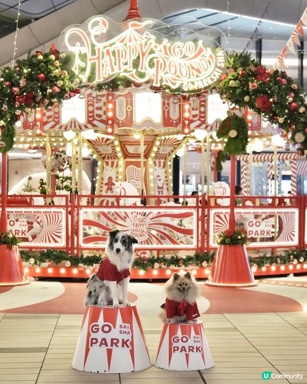 西沙冬日樂園🎄！毛孩聖誕必去！🎠