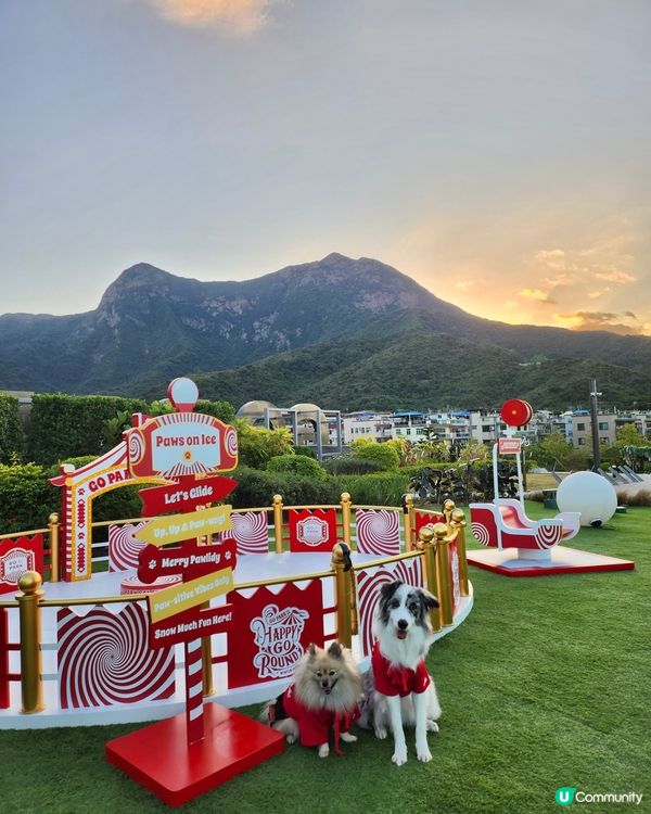 西沙冬日樂園🎄！毛孩聖誕必去！🎠