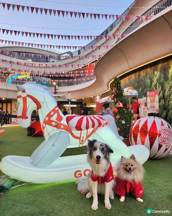 西沙冬日樂園🎄！毛孩聖誕必去！🎠