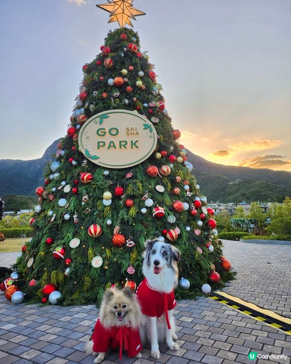 西沙冬日樂園🎄！毛孩聖誕必去！🎠