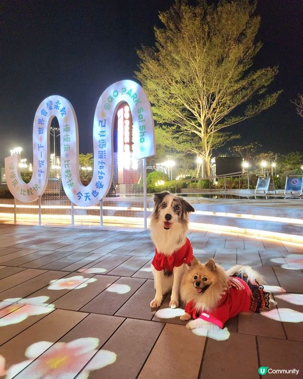 西沙冬日樂園🎄！毛孩聖誕必去！🎠