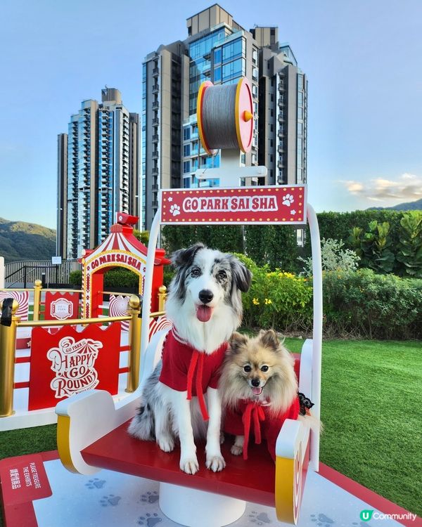 西沙冬日樂園🎄！毛孩聖誕必去！🎠