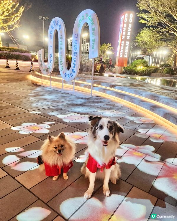 西沙冬日樂園🎄！毛孩聖誕必去！🎠