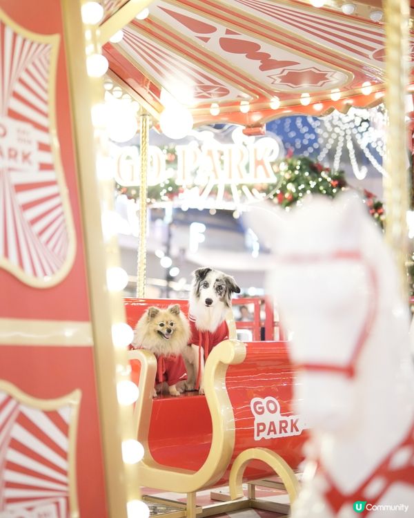 西沙冬日樂園🎄！毛孩聖誕必去！🎠