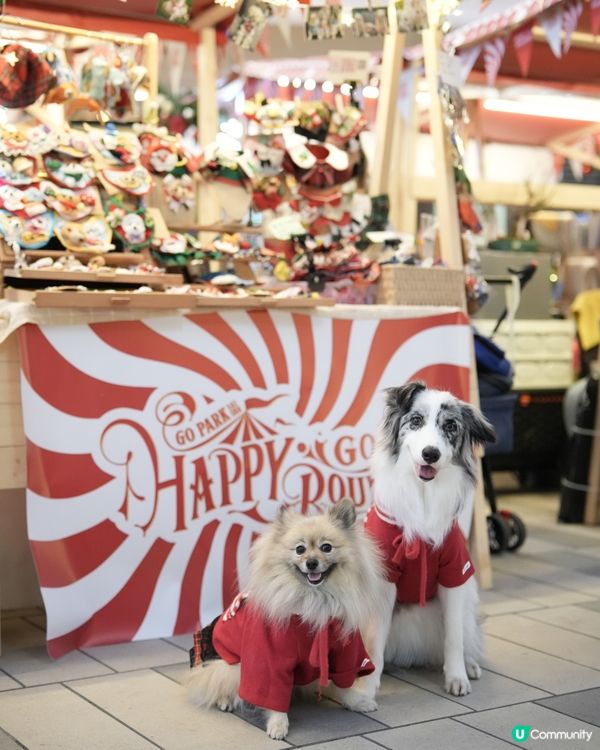 西沙冬日樂園🎄！毛孩聖誕必去！🎠