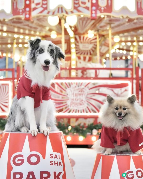 西沙冬日樂園🎄！毛孩聖誕必去！🎠
