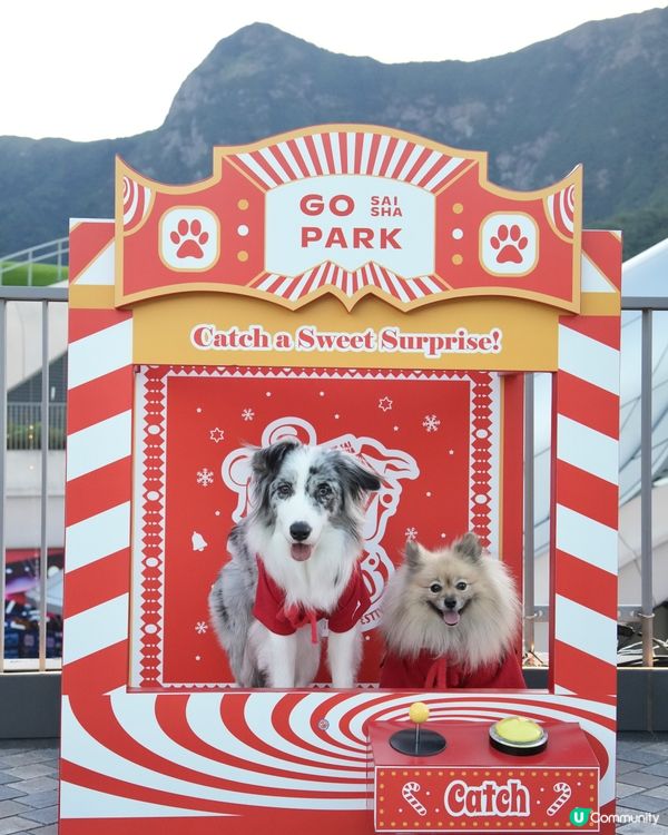 西沙冬日樂園🎄！毛孩聖誕必去！🎠