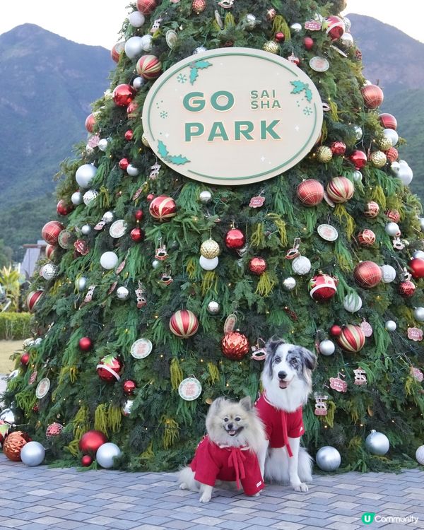 西沙冬日樂園🎄！毛孩聖誕必去！🎠