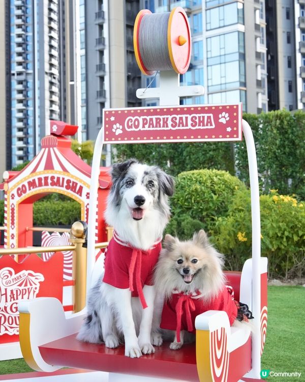 西沙冬日樂園🎄！毛孩聖誕必去！🎠