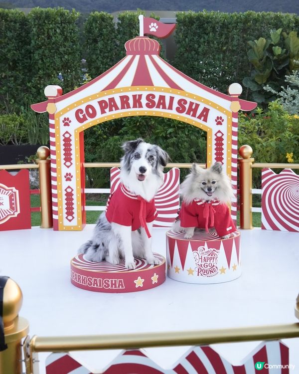 西沙冬日樂園🎄！毛孩聖誕必去！🎠